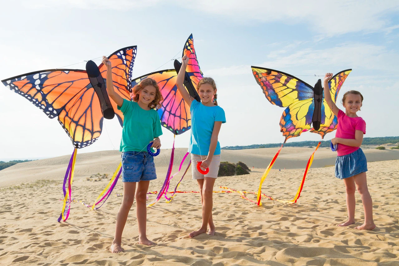 Butterfly Kite Swallowtail "L" 1 Butterfly Kite Swallowtail "L"