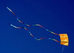 36 Power Sled - Mango -Fashion Kite Accessories Store 122236149 10222812785484652 6932807971459342641 n 12145.1608598506