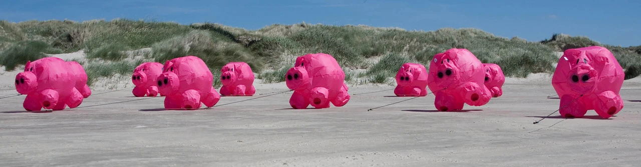 Bouncing Buddy "Porky" 2 Bouncing Buddy "Porky" - Image 2