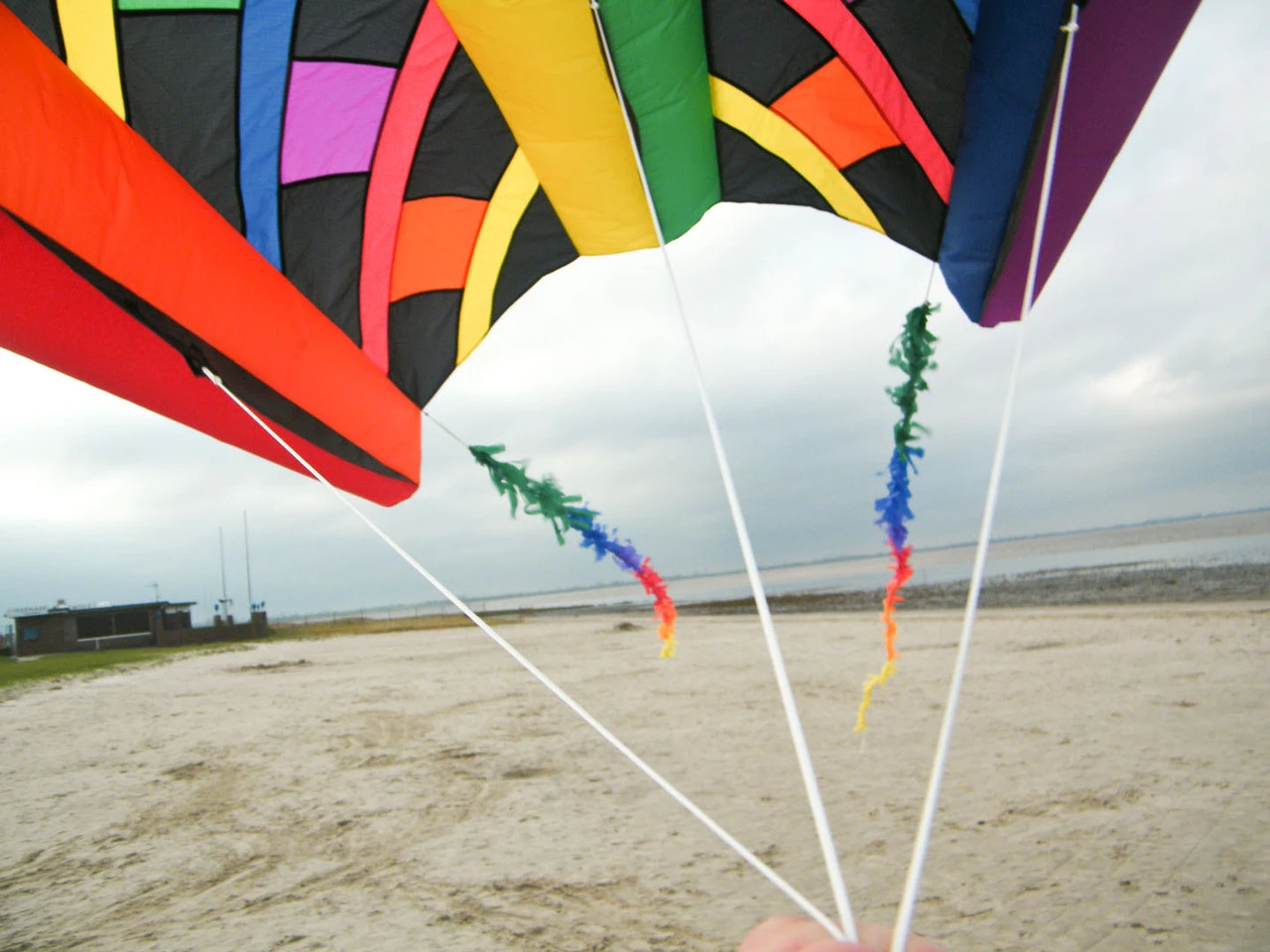 Fringe Tail - 23Ft 2 Fringe Tail - 23Ft - Image 2