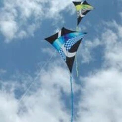 65" Borealis Sky-Shark Diamond Kite - Neon Tronic 5 65" Borealis Sky-Shark Diamond Kite - Neon Tronic -Fashion Kite Accessories Store 15302 15305 TronicBorealisDiamonds 39264.1474752058