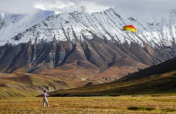 Prism Synapse 170 - Mango