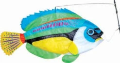 Premier® Swimming Fish - Peacock Wrasse