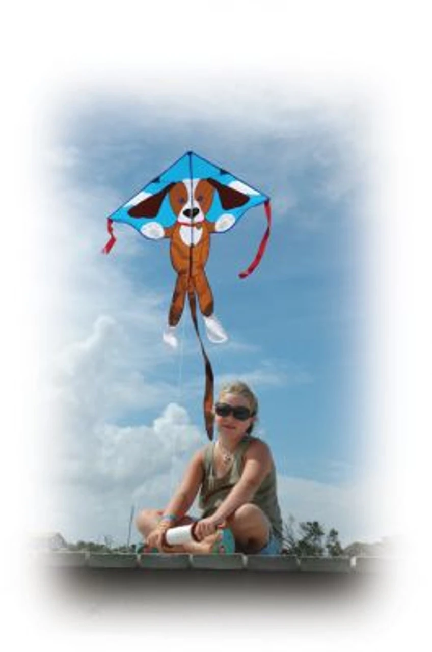 Large Easy Flyer (Sparky Dog) 1 Large Easy Flyer (Sparky Dog)