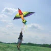 Rainbow Bird Kite