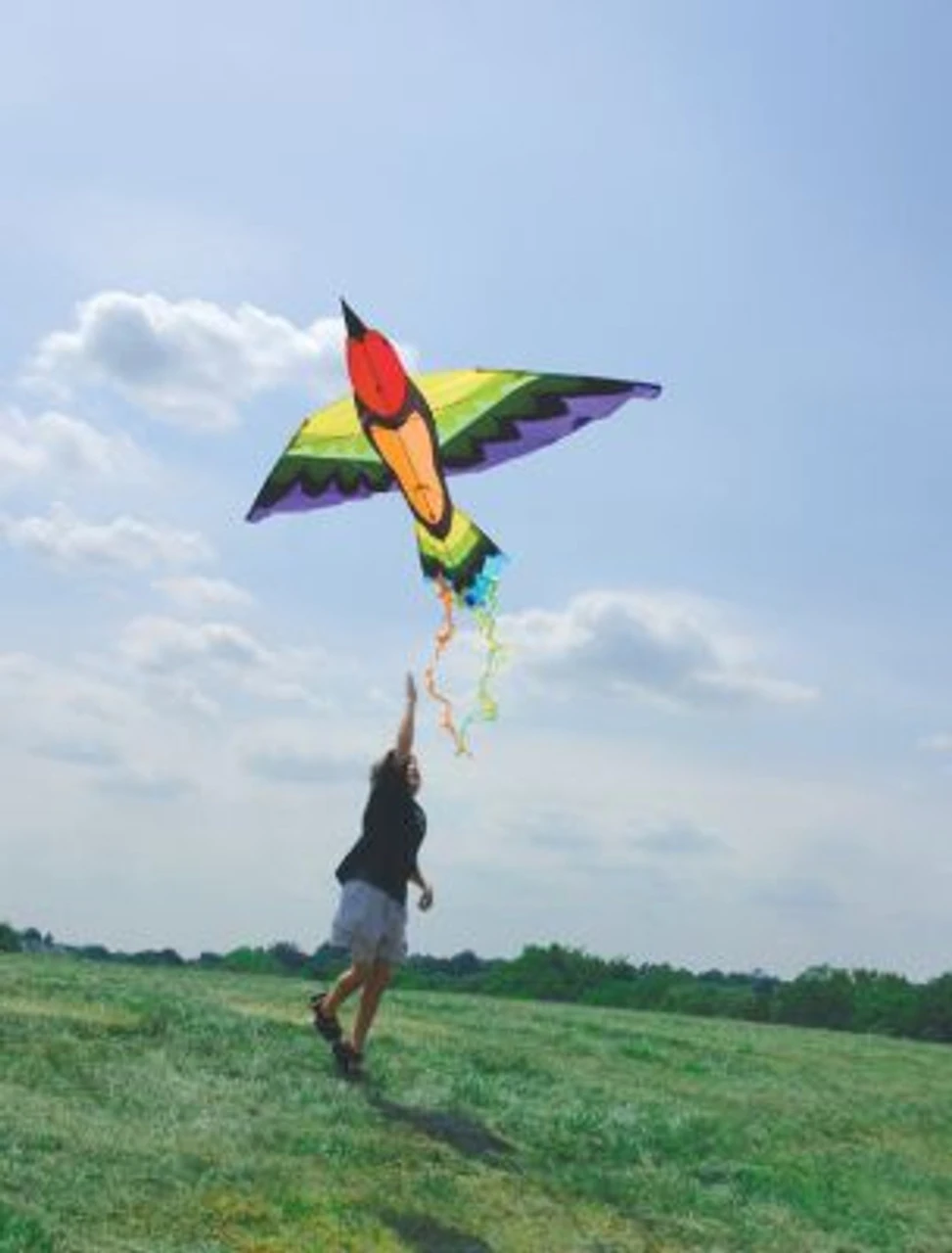 Rainbow Bird Kite 1 Rainbow Bird Kite