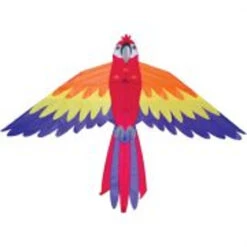 Macaw