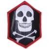 Skull - Crossbones-Rokkaku Kite