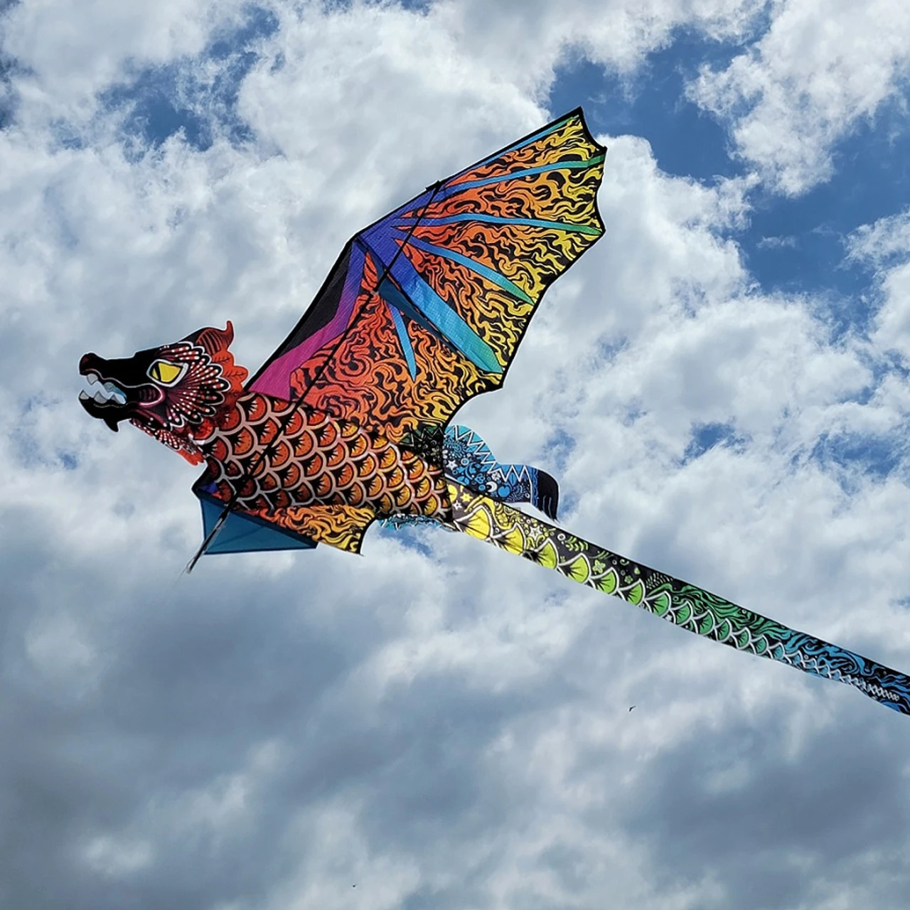 3D Dragon Kite - Night Fir 2 3D Dragon Kite - Night Fir - Image 2