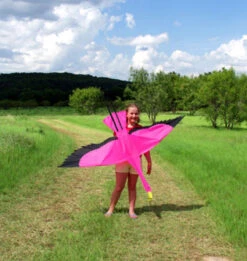 Flamingo 3D 7 Flamingo 3D -Fashion Kite Accessories Store 50116 Flamingo 27259.1556716075