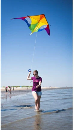 9.8 Ft. Rainbow Delta -Fashion Kite Accessories Store 61V0XnMhglL. AC SX679 84222.1605146716