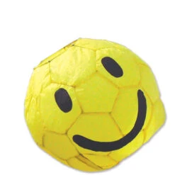 Premier® 13" Smiley Ball With 60" Pole & Wall Mount