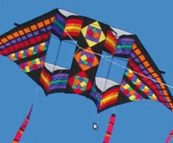 Swept Wing Double Box Delta