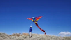 Hespeler Giant Dragon 5 Hespeler Giant Dragon -Fashion Kite Accessories Store Dragon 3 27408.1484502248