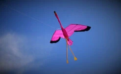Flamingo 3D 6 Flamingo 3D -Fashion Kite Accessories Store Flamingo2 53745.1511886725
