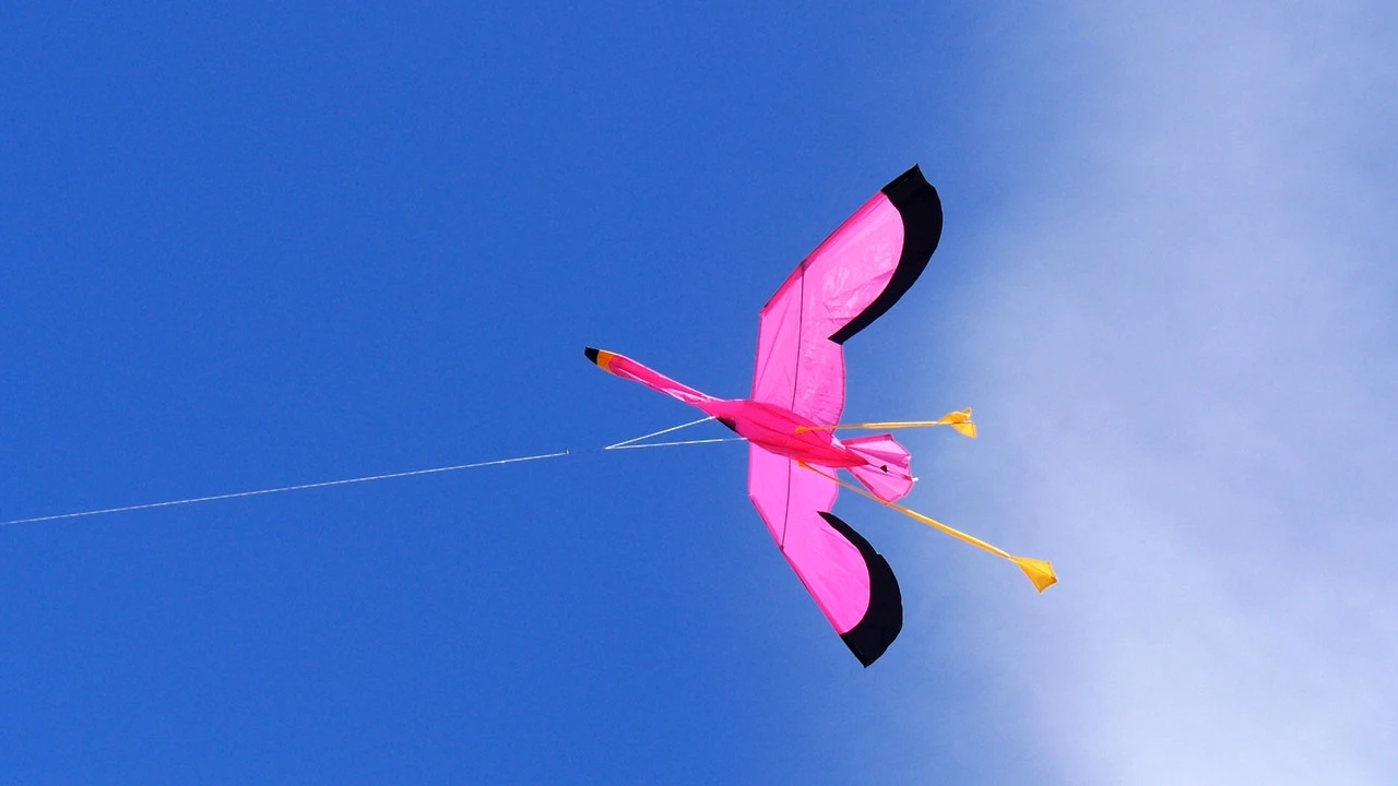 Flamingo 3D 2 Flamingo 3D - Image 2