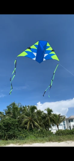 16 Ft. Tunnel Delta - Blue Green -Fashion Kite Accessories Store IMG 0999 2 21046.1632001390