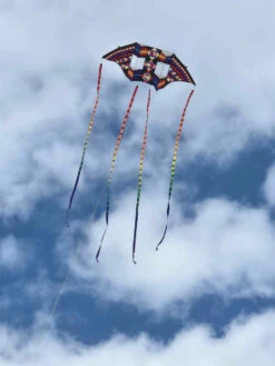 Swept Wing Double Box Delta -Fashion Kite Accessories Store IMG 1166 33143.1707834422