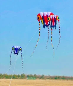 10M Trilobite Inflatable