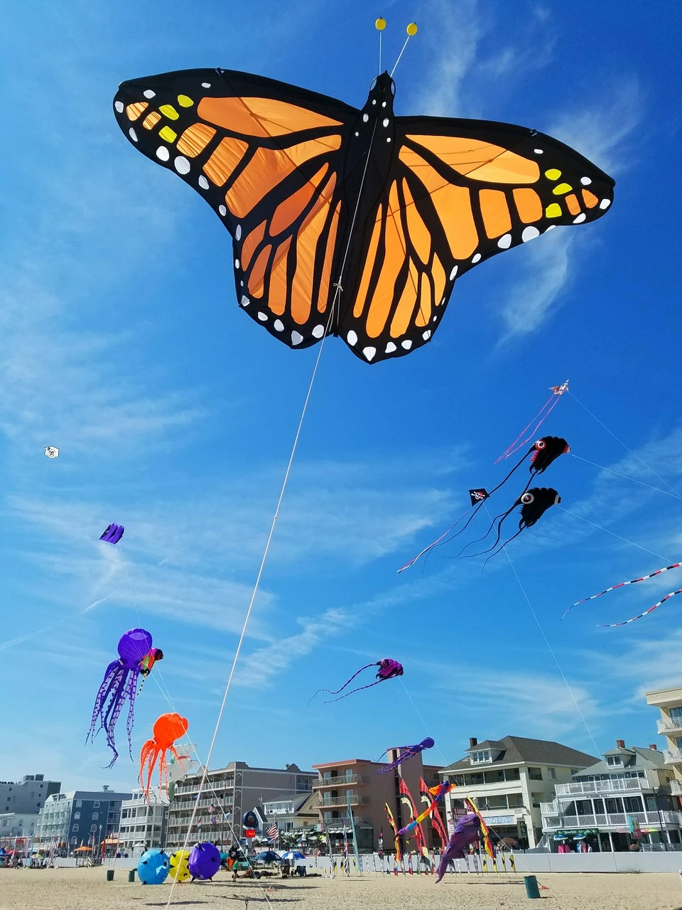 Giant 10-ft Monarch Butterfly Kite 1 Giant 10-ft Monarch Butterfly Kite
