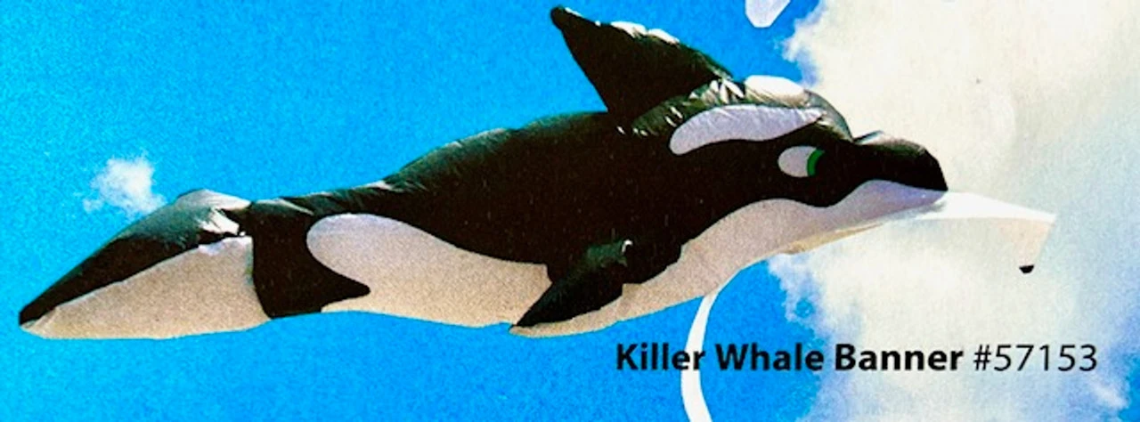 6' Killer Whale - Banner 1 6' Killer Whale - Banner