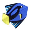 Dory Fish