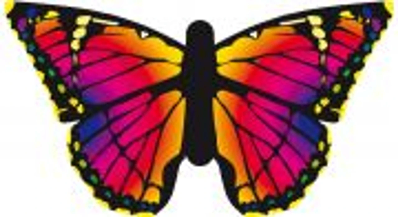 Butterfly Kite Ruby "R" 1 Butterfly Kite Ruby "R"
