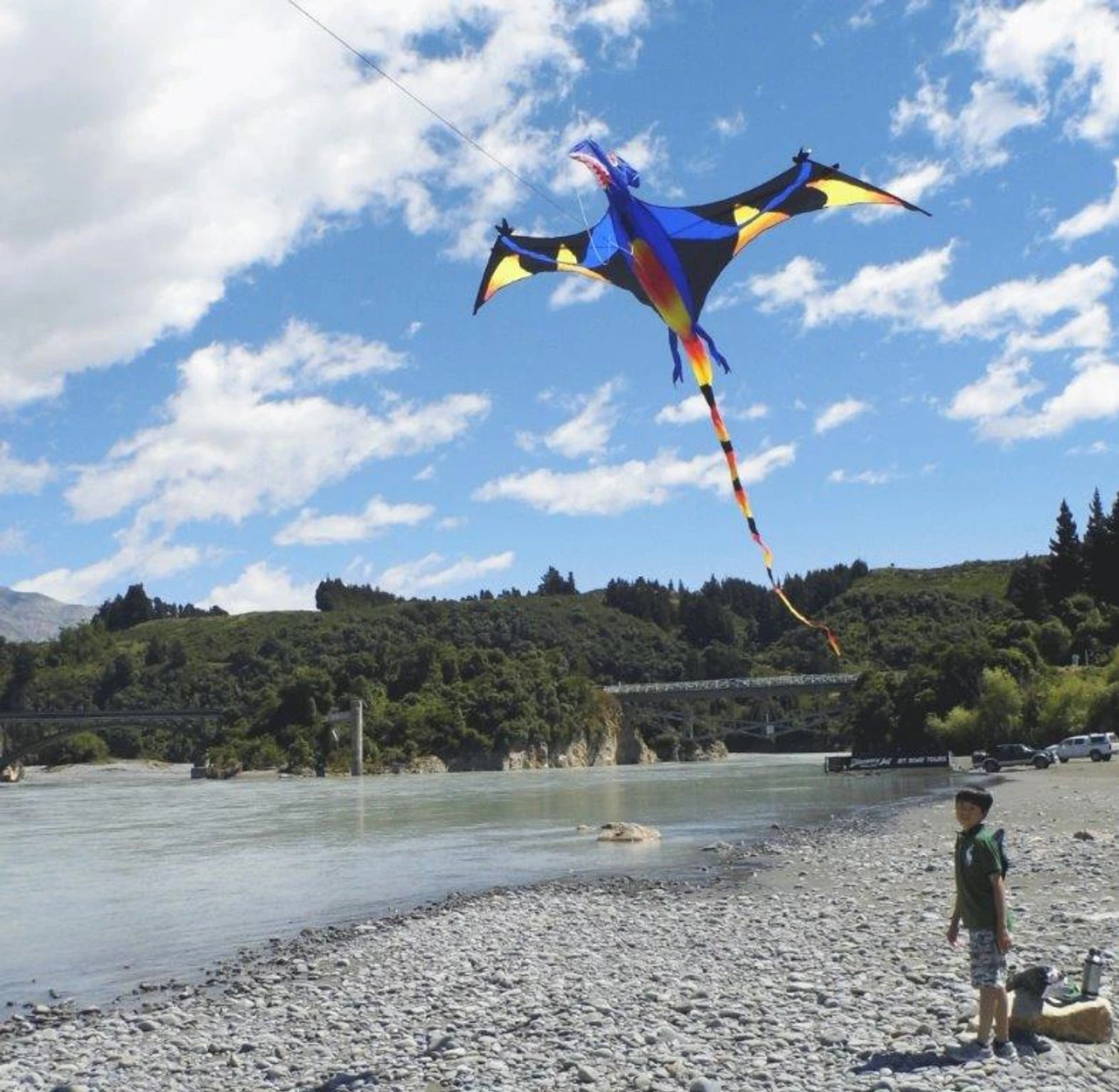 Black Wing Pterodactyl 2 Black Wing Pterodactyl - Image 2