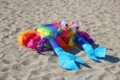 HQ Bouncing Buddy "Billy The Crab" - Rainbow