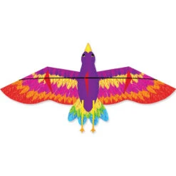 Rainbow Bird