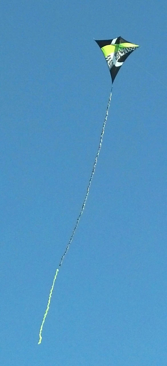 65" Borealis Sky-Shark Diamond Kite - Neon Tronic 2 65" Borealis Sky-Shark Diamond Kite - Neon Tronic - Image 2