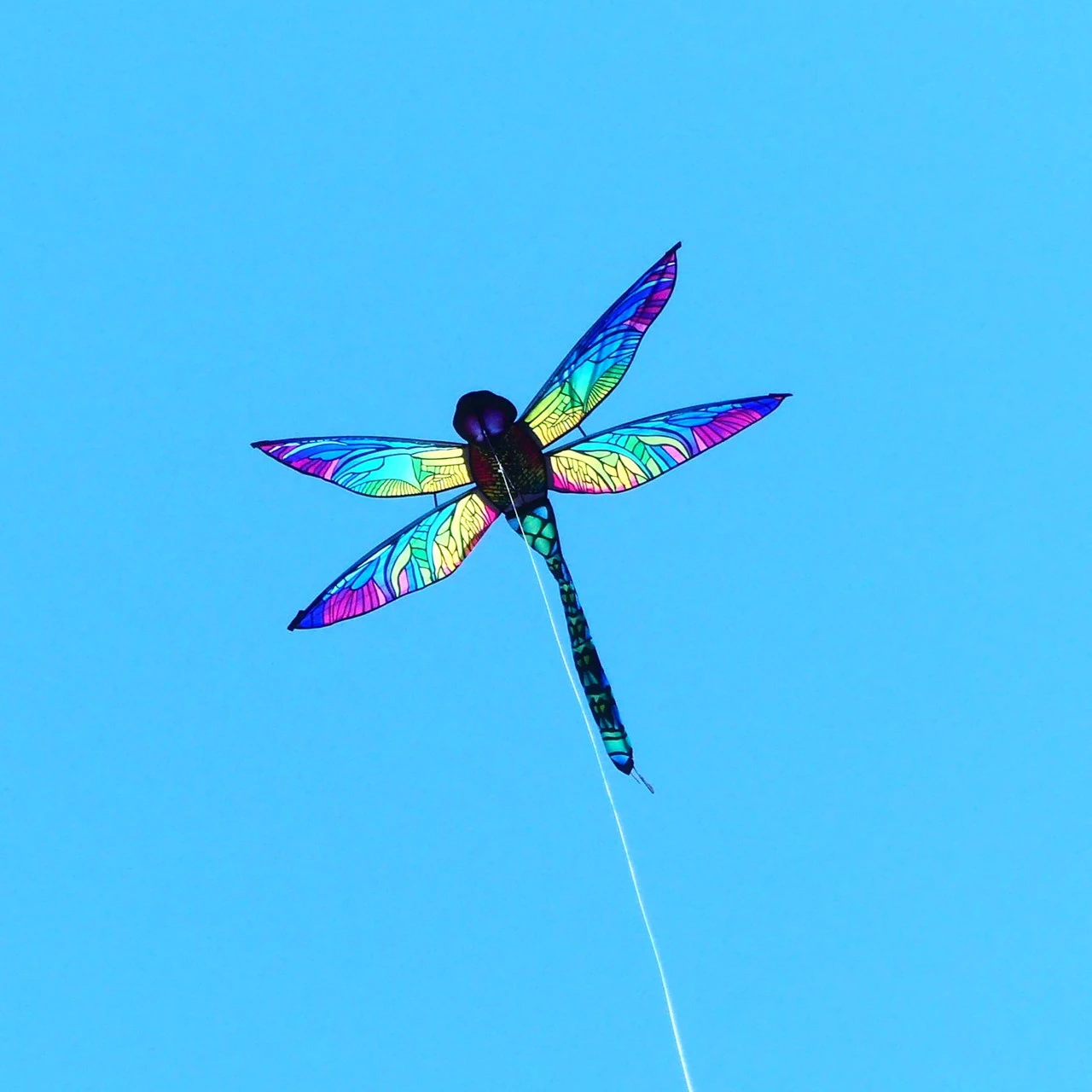 Dragonfly Rainbow Glimmer 2 Dragonfly Rainbow Glimmer - Image 2