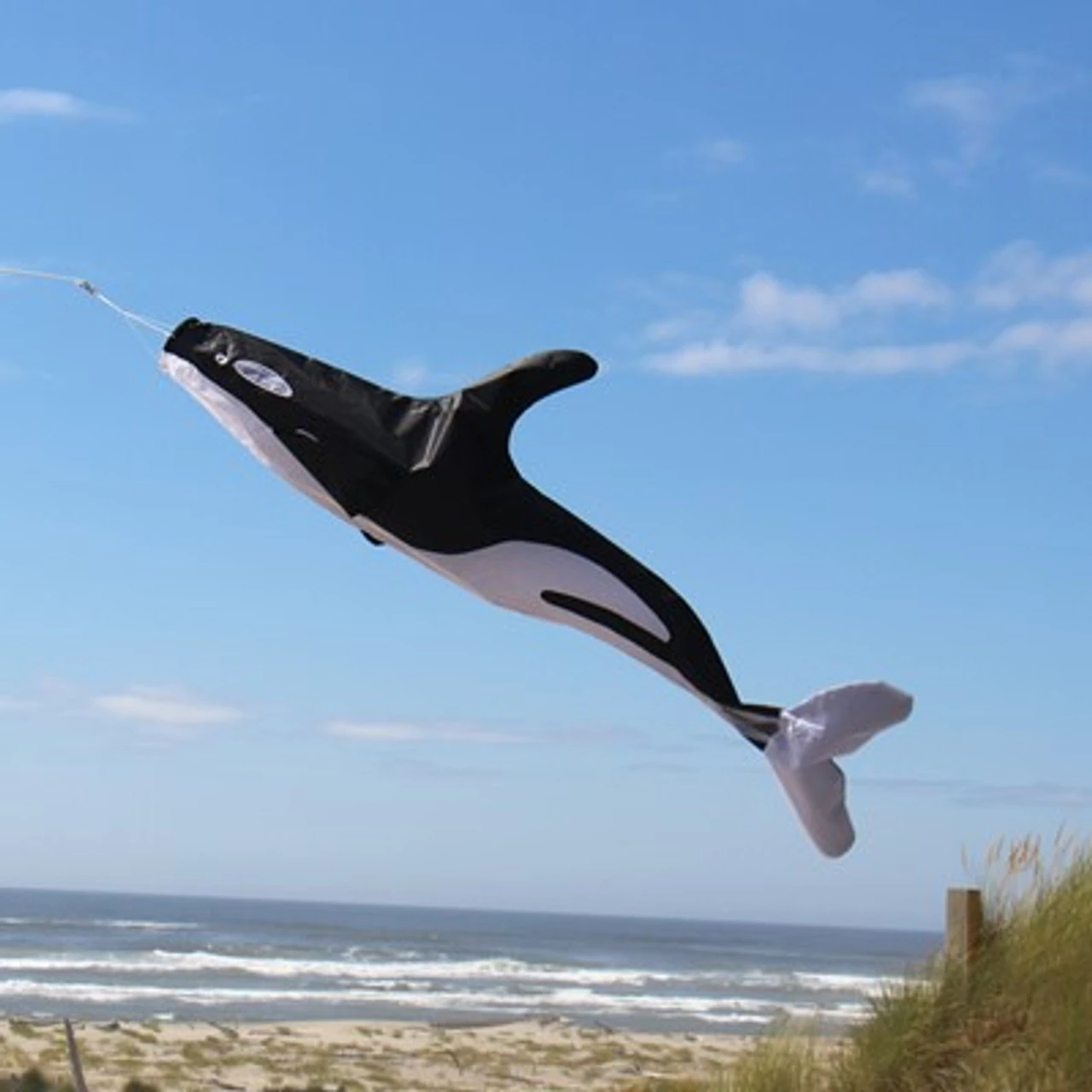 54" 3D Orca Windsock 1 54" 3D Orca Windsock
