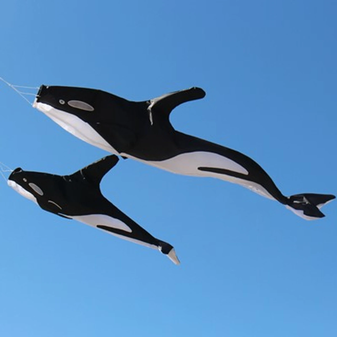 54" 3D Orca Windsock 2 54" 3D Orca Windsock - Image 2